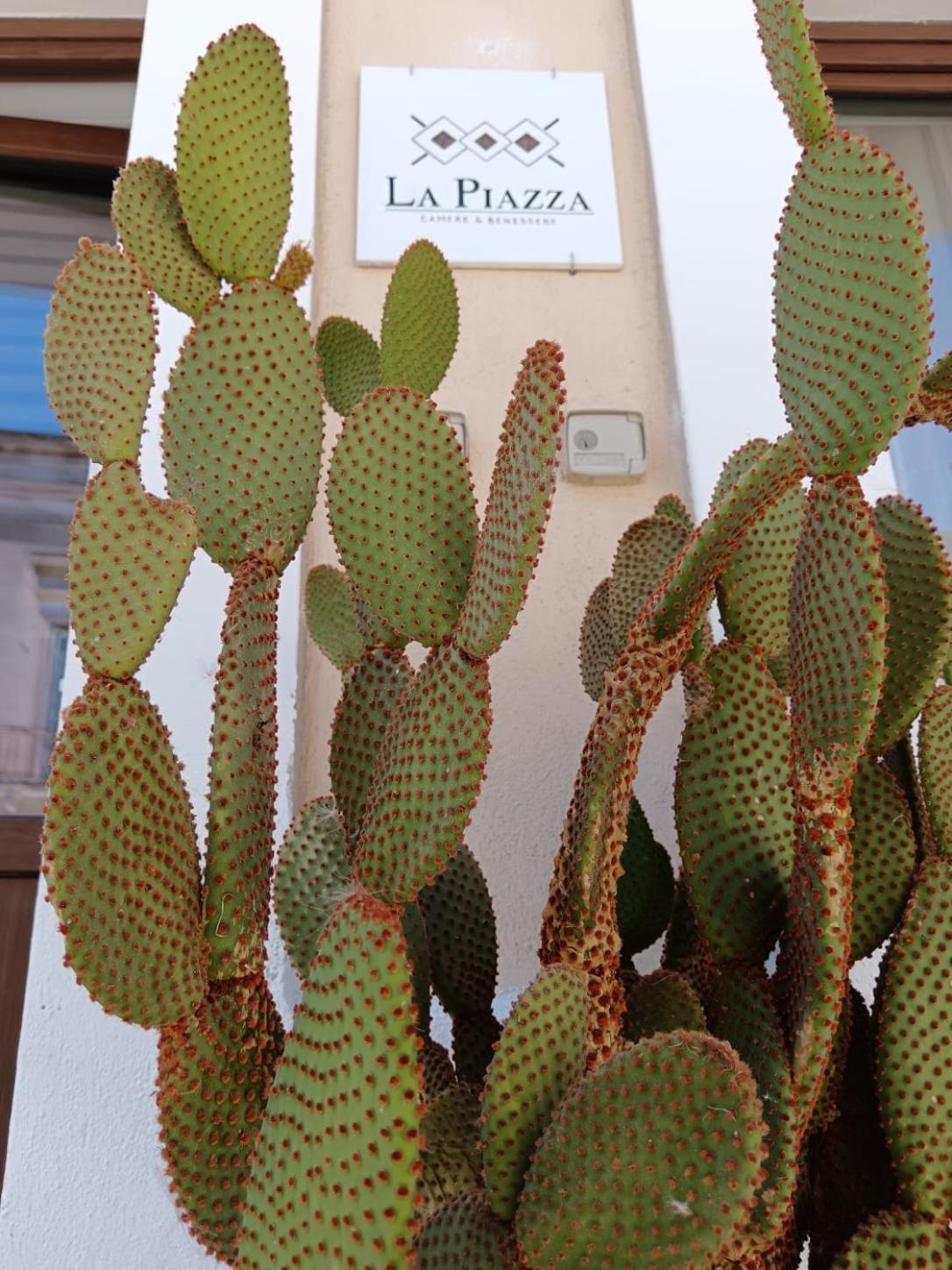 圣焦尔焦约尼科La Piazza别墅 外观 照片